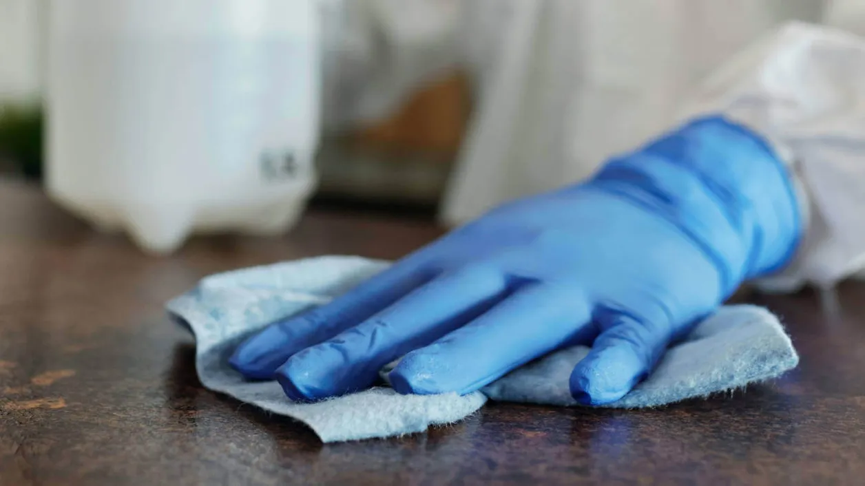 Απολύμανση