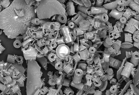 Γη διατομών